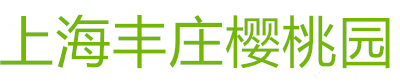 上海丰庄樱桃园